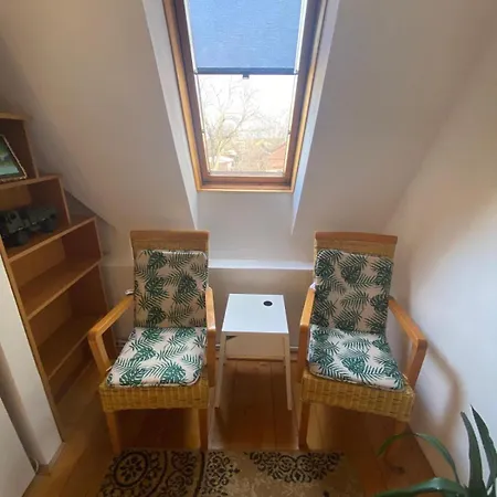 Chill Out Xbox House Apartment